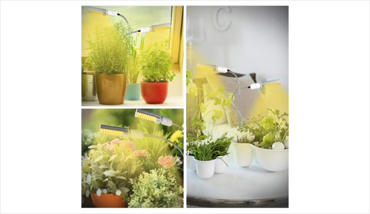 portfolio-image