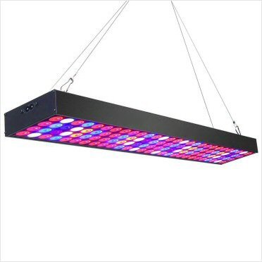 portfolio-item-image